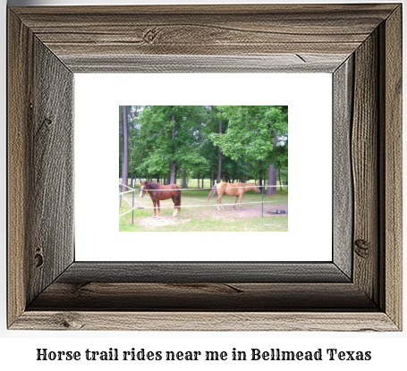 horse trail rides near me in Bellmead, Texas